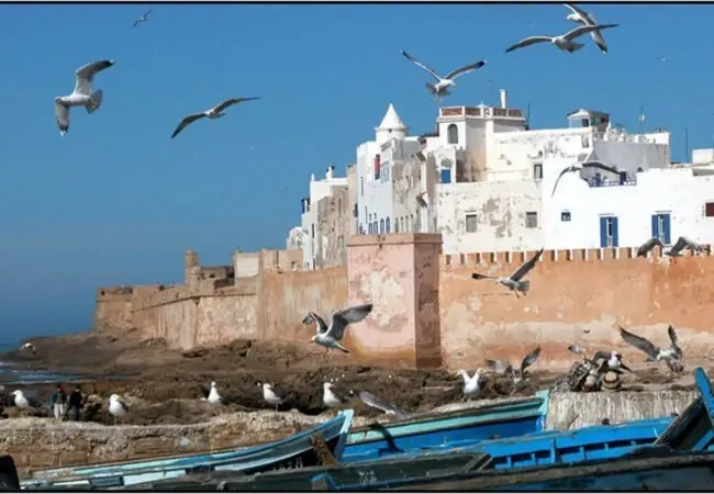 Morocco tours offer breathtaking landscapes and rich traditions.