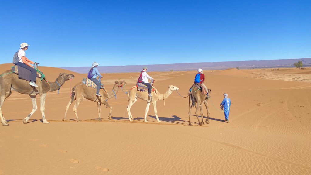 Excursions in Morocco in Amazing morocco