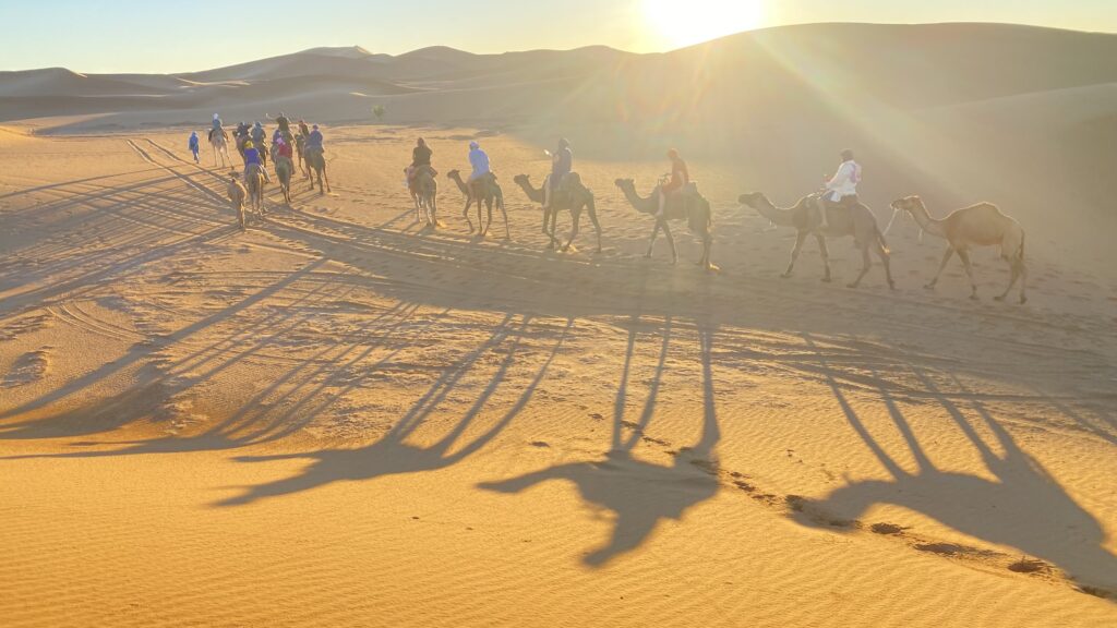 Excursions in Morocco