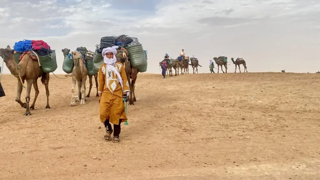 Morocco Camel trekking in Amazing Morocco