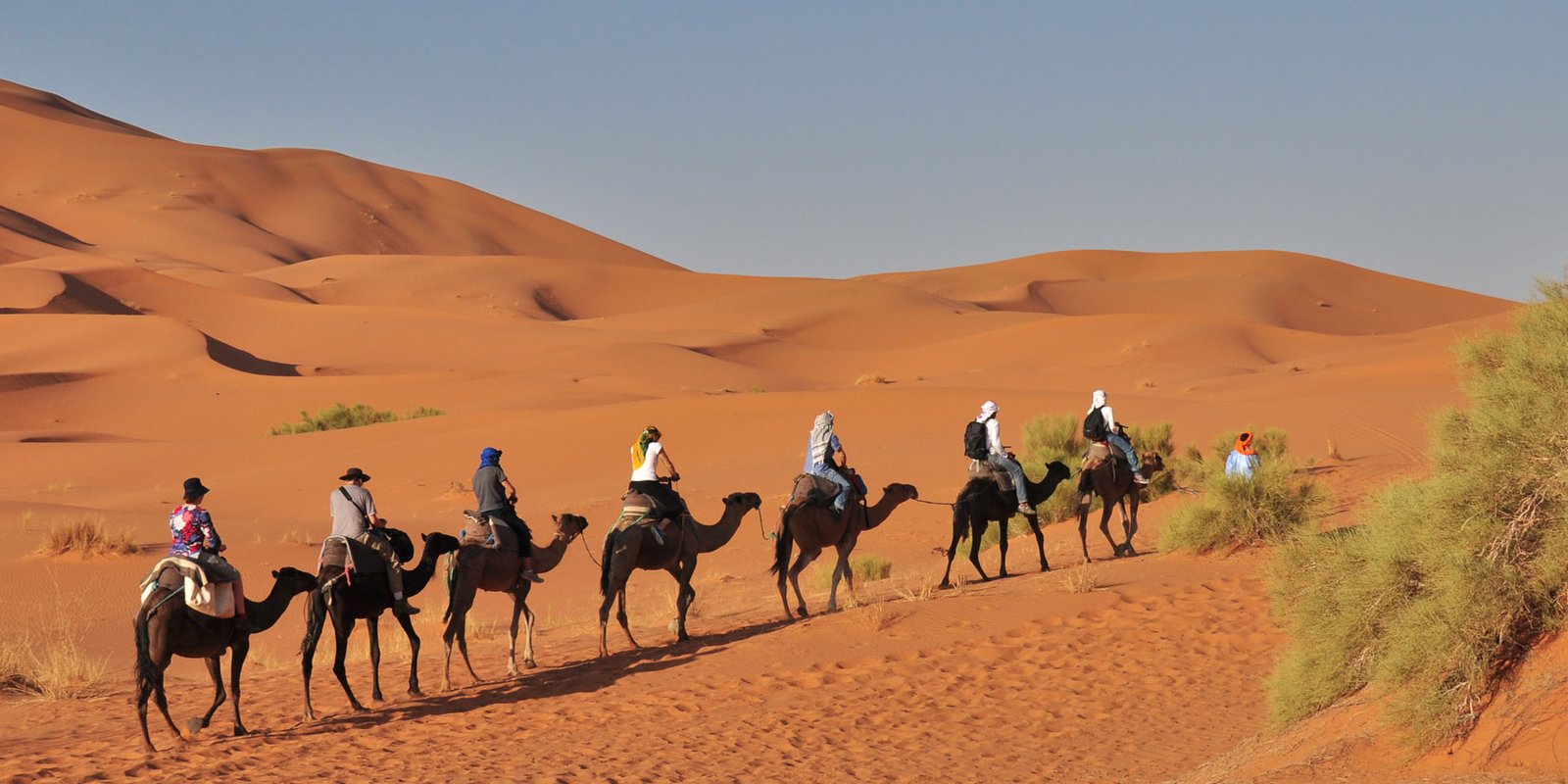 3 Day Camel Trek in Erg Chigaga, camel caravan crossing dunes