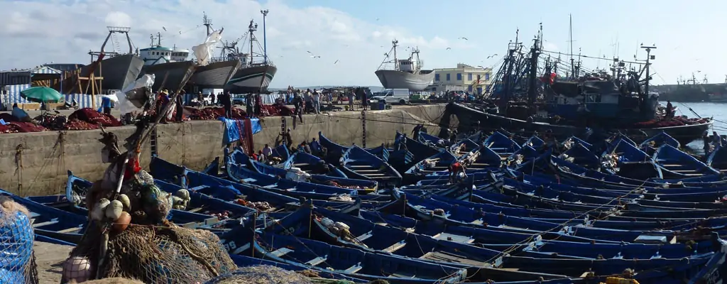 Blue fishing boats packed into the harbour at Essaouira