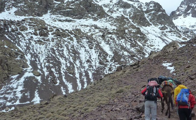 Trekkers with a mule on a snowy mountain trail in the High Atlas
