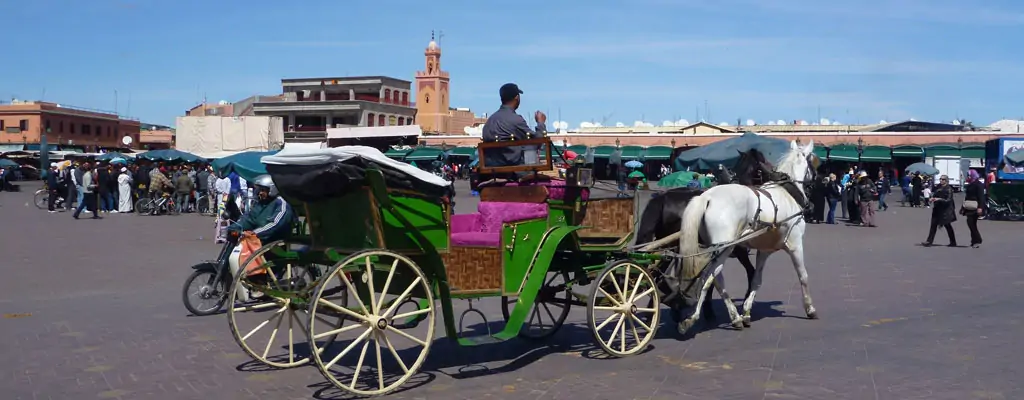 Marrakech tours Morocco Private tours provide the perfect opportunity to craft a unique itinerary tailored to your interests.