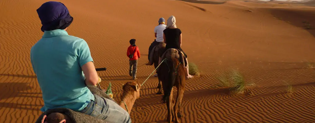 Riders on camels crossing rippled orange dunes