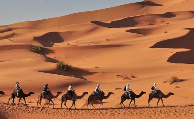 Camel caravan walking along a dune ridge