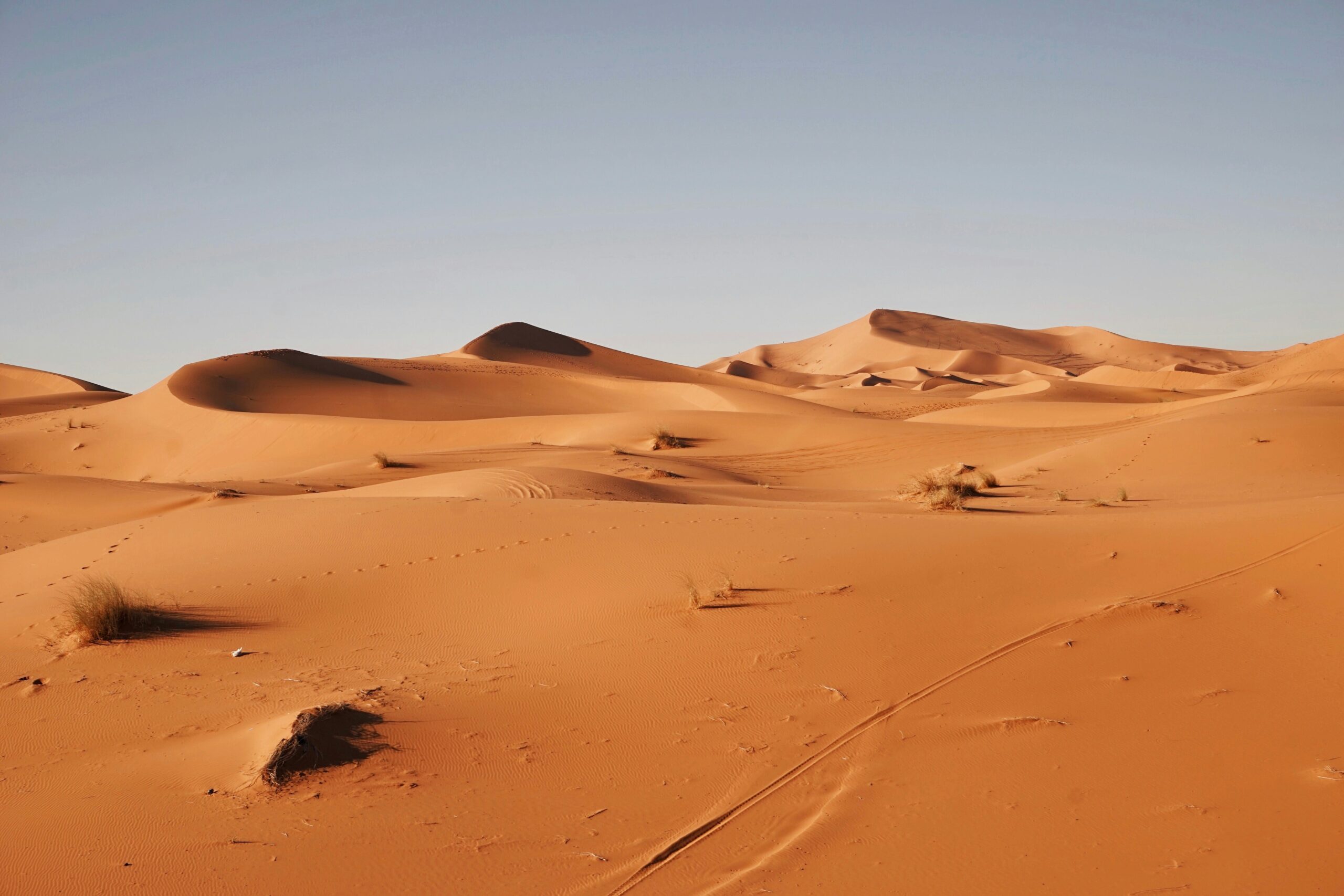 landscape photography of desert